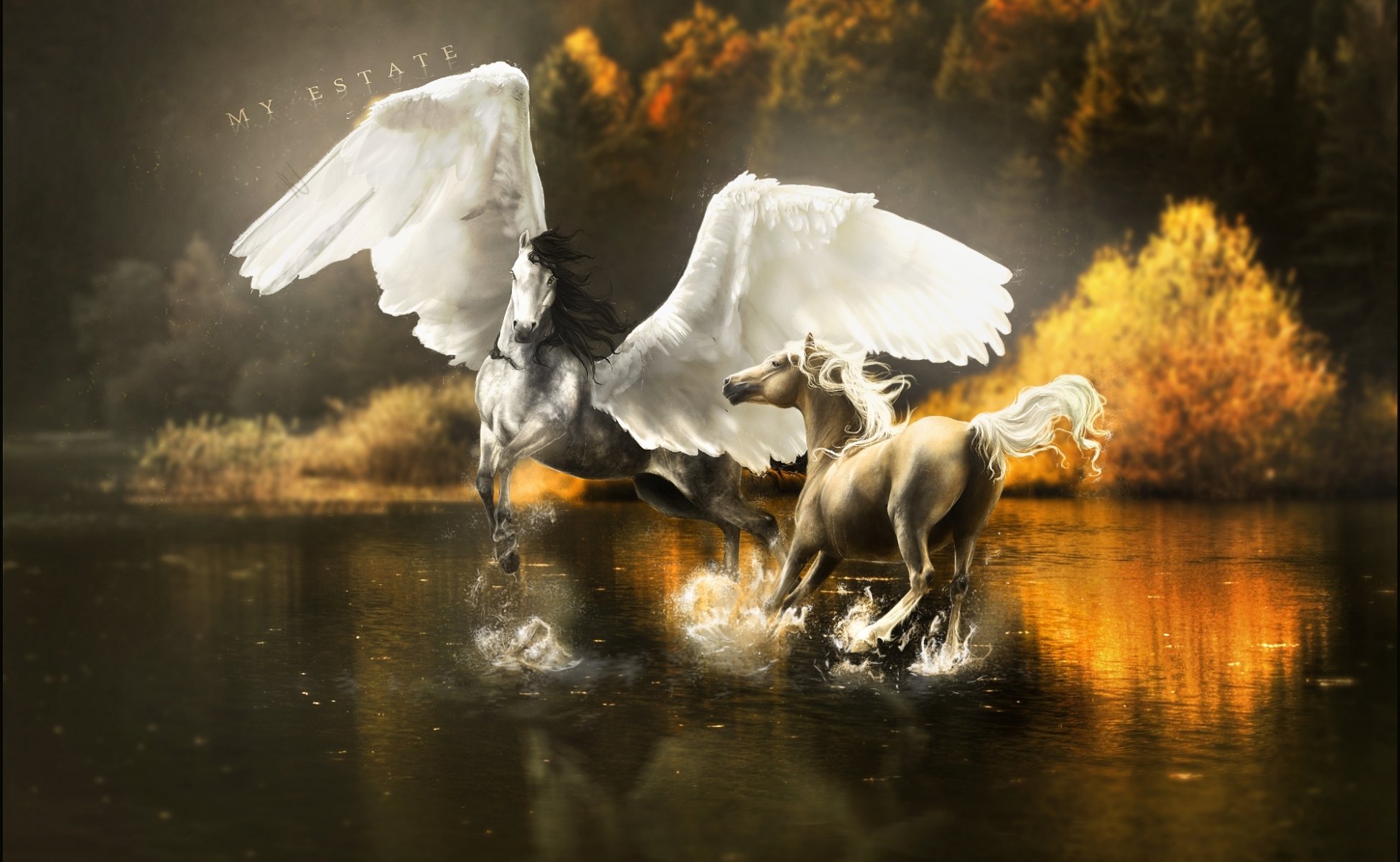 fiction horse art pegasus wings water spray reflection tree