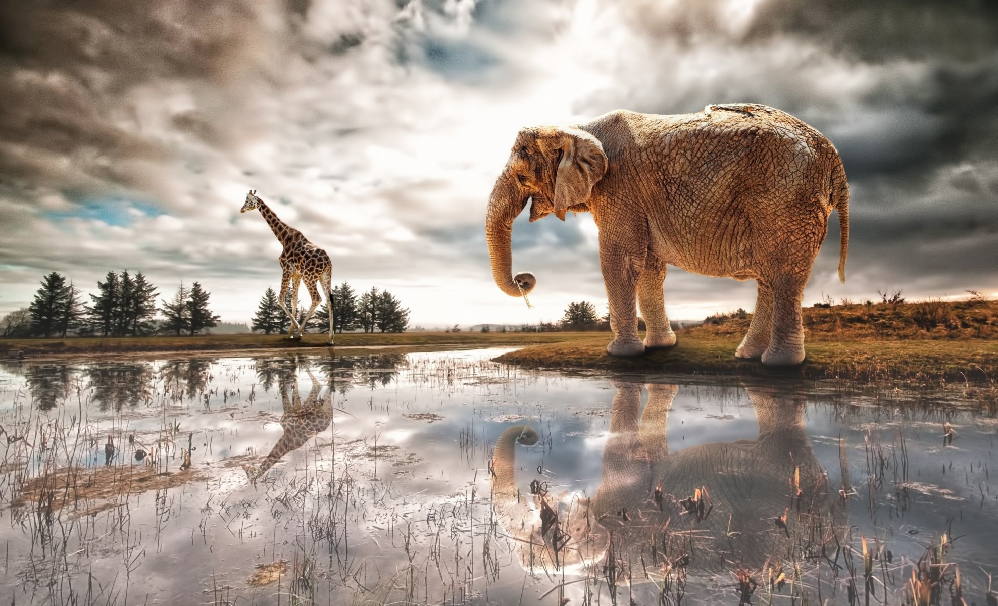 elephant giraffe river art fantasy