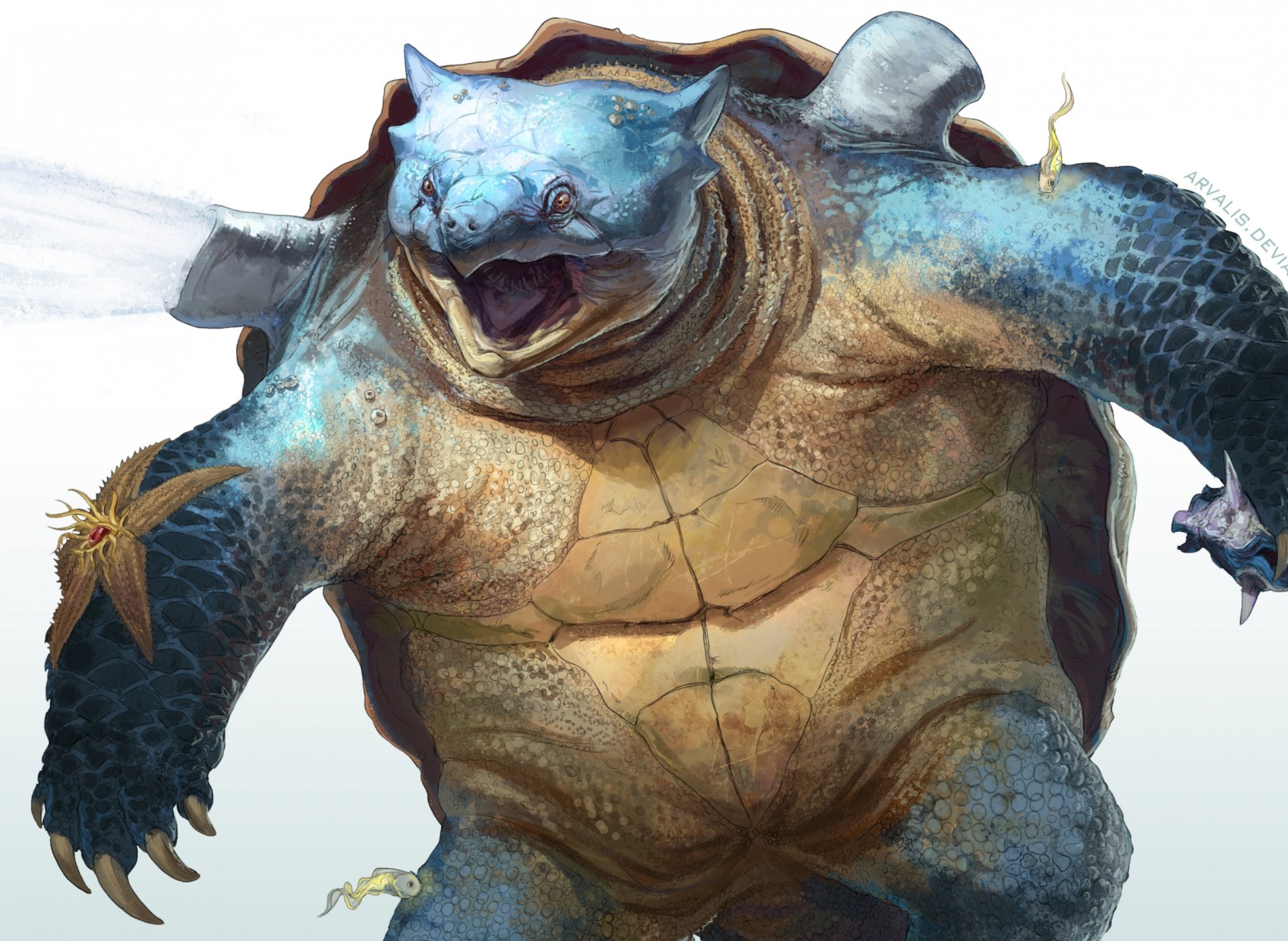 blastoise pokemon marina caparazón tortuga