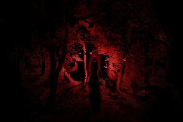 Silueta en el bosque nocturno sobre un fondo rojo