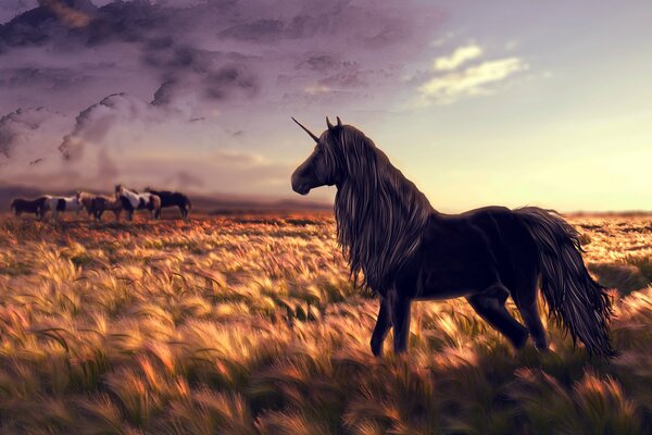 Licorne avec une longue crinière debout dans le champ le soir