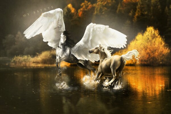 Fantastisches Bild geflügelte Pegasus in der Nähe von Bäumen springen über das Wasser, ihre Reflexion spritzt schön