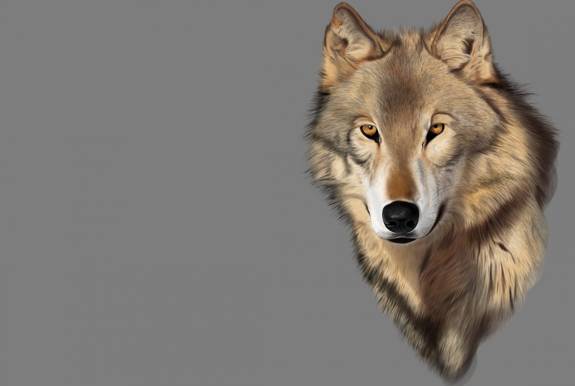 art rendering wolf predator mood view