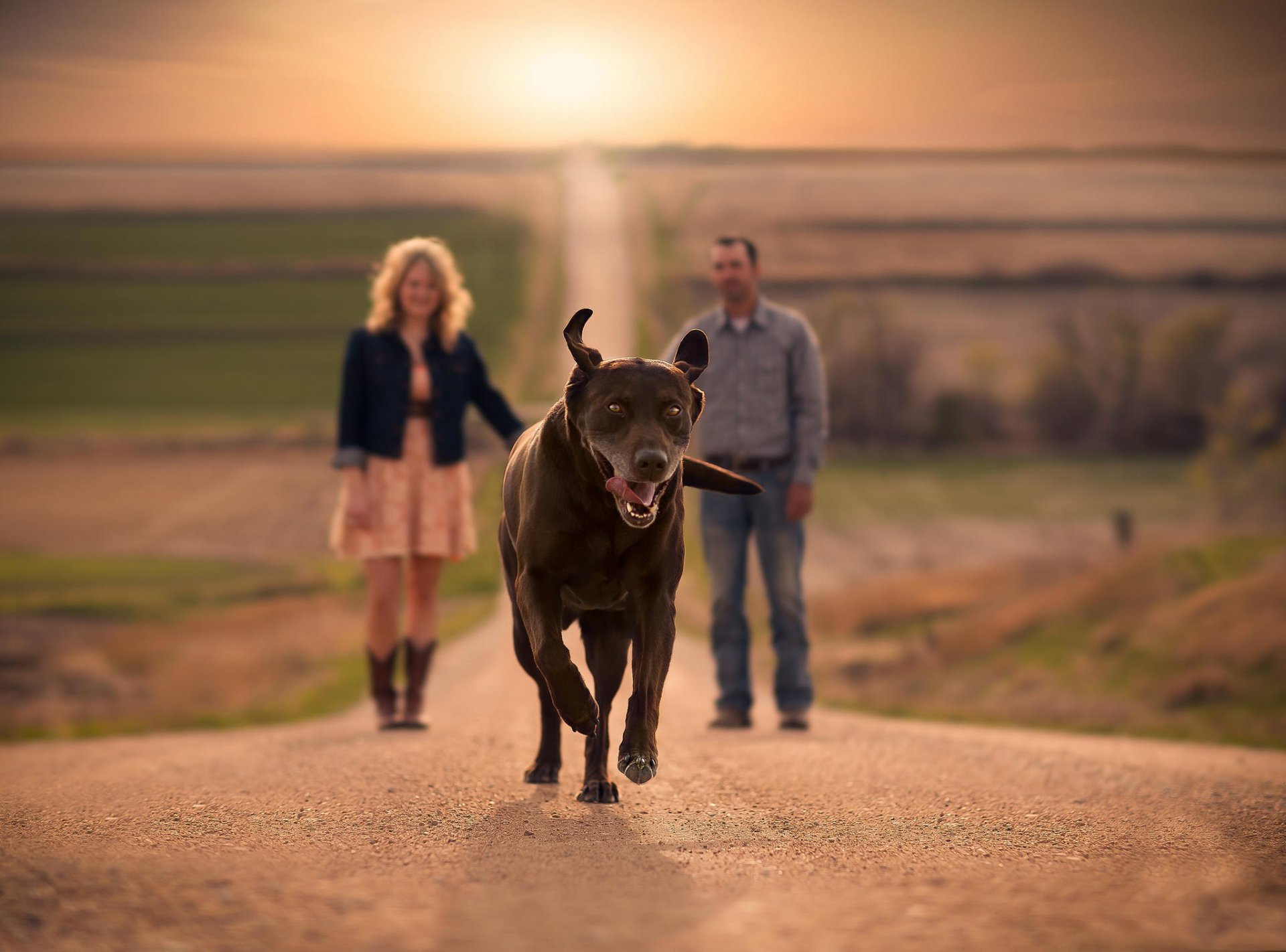 amigo camino correr bokeh