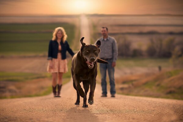 Promenade de chien sur la route d un couple amoureux