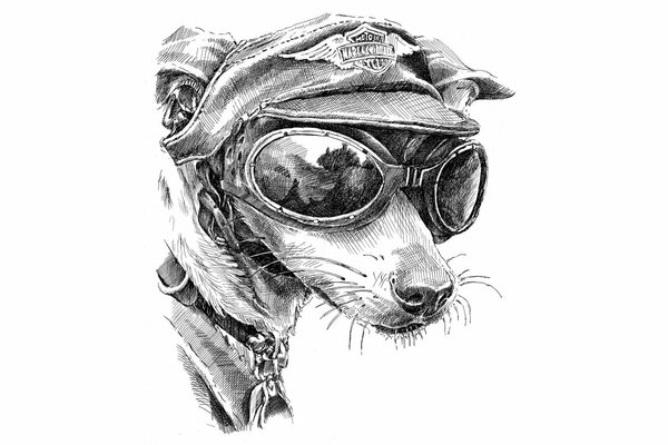 Drawing of a dog with glasses and a cap