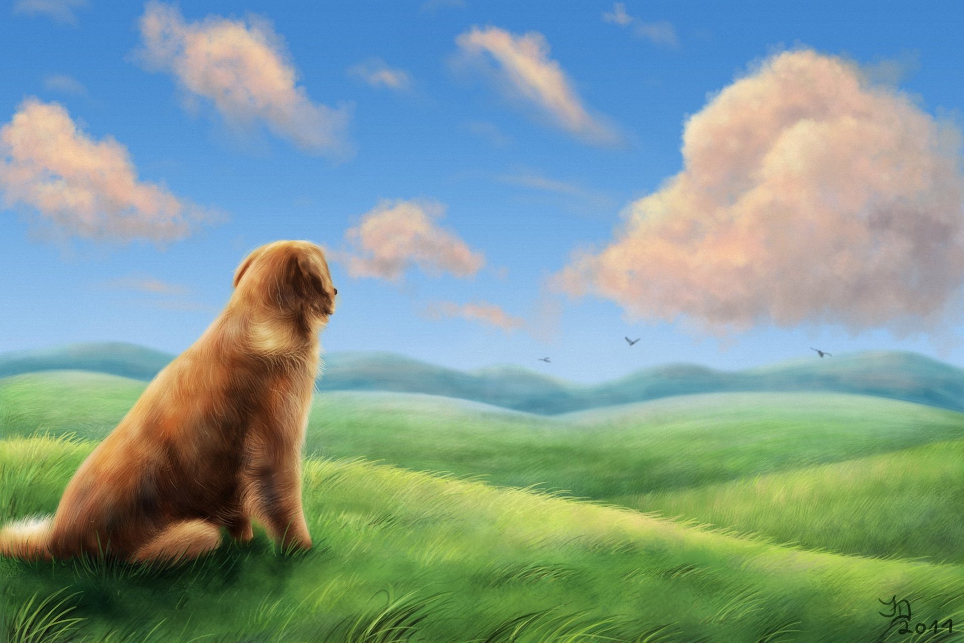 art dog grass the field hills birds wind cloud