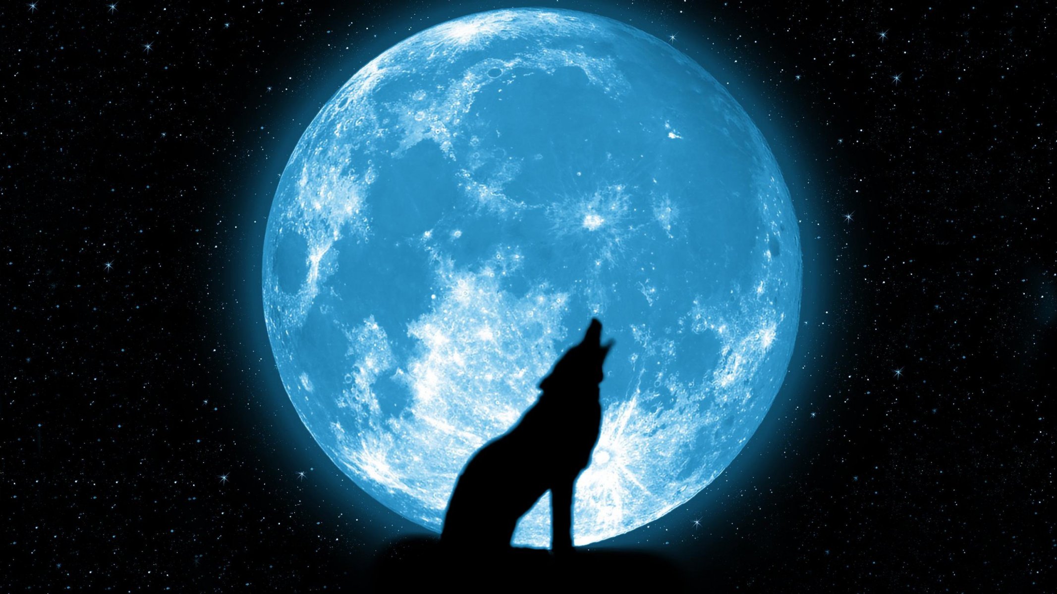 luna lobo aullido estrellas hermoso