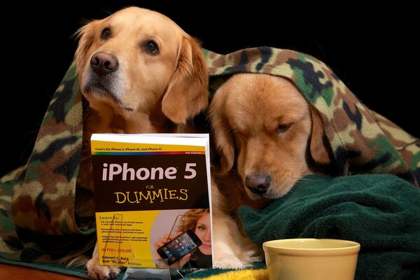 Lustige Freunde lesen ein Buch