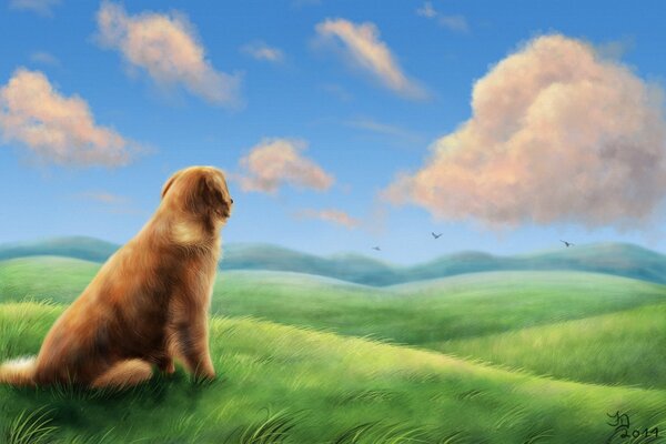 Dessin d un chien dans un champ regardant au loin
