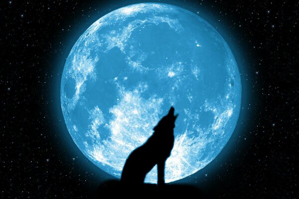 A wolf howls against the background of a beautiful moon and stars
