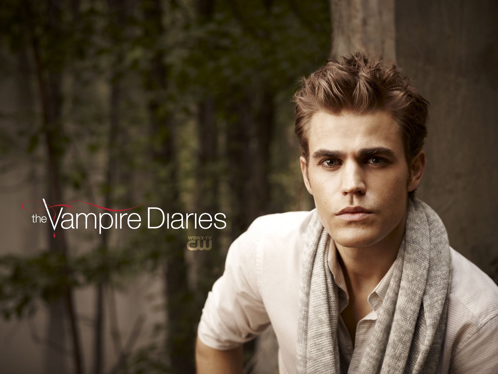 the vampire diaries stefan salvator serie tv 2010