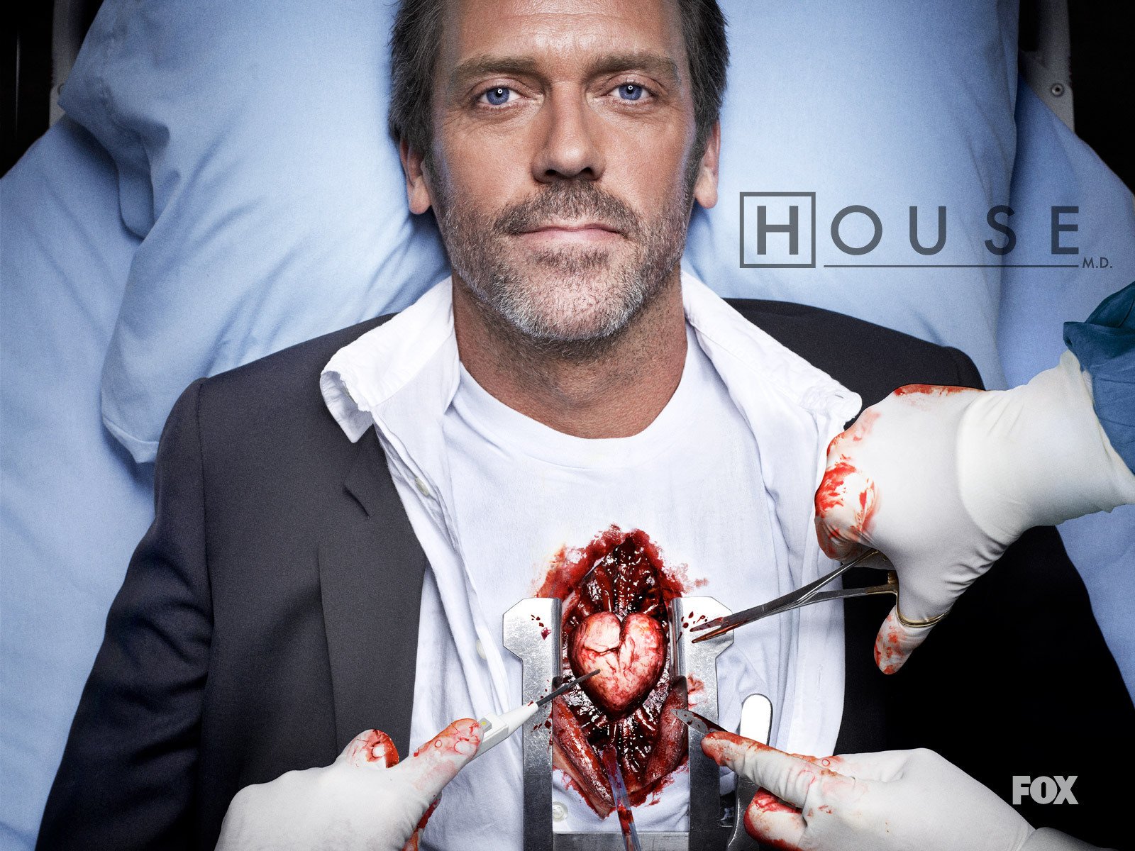 maison dr house hugh laurie coeur