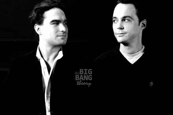 Actores de la serie the Big Bang Theory