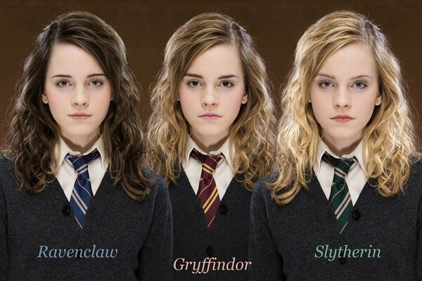 Students of the Gryffindors faculty in the film Harry Potter