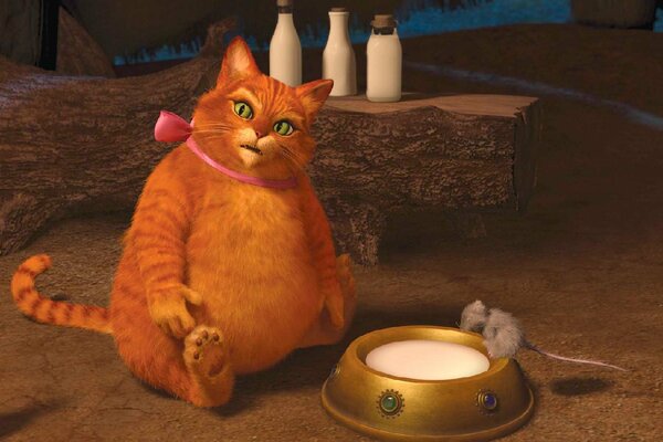 Fat ginger cat and mouse drink milk