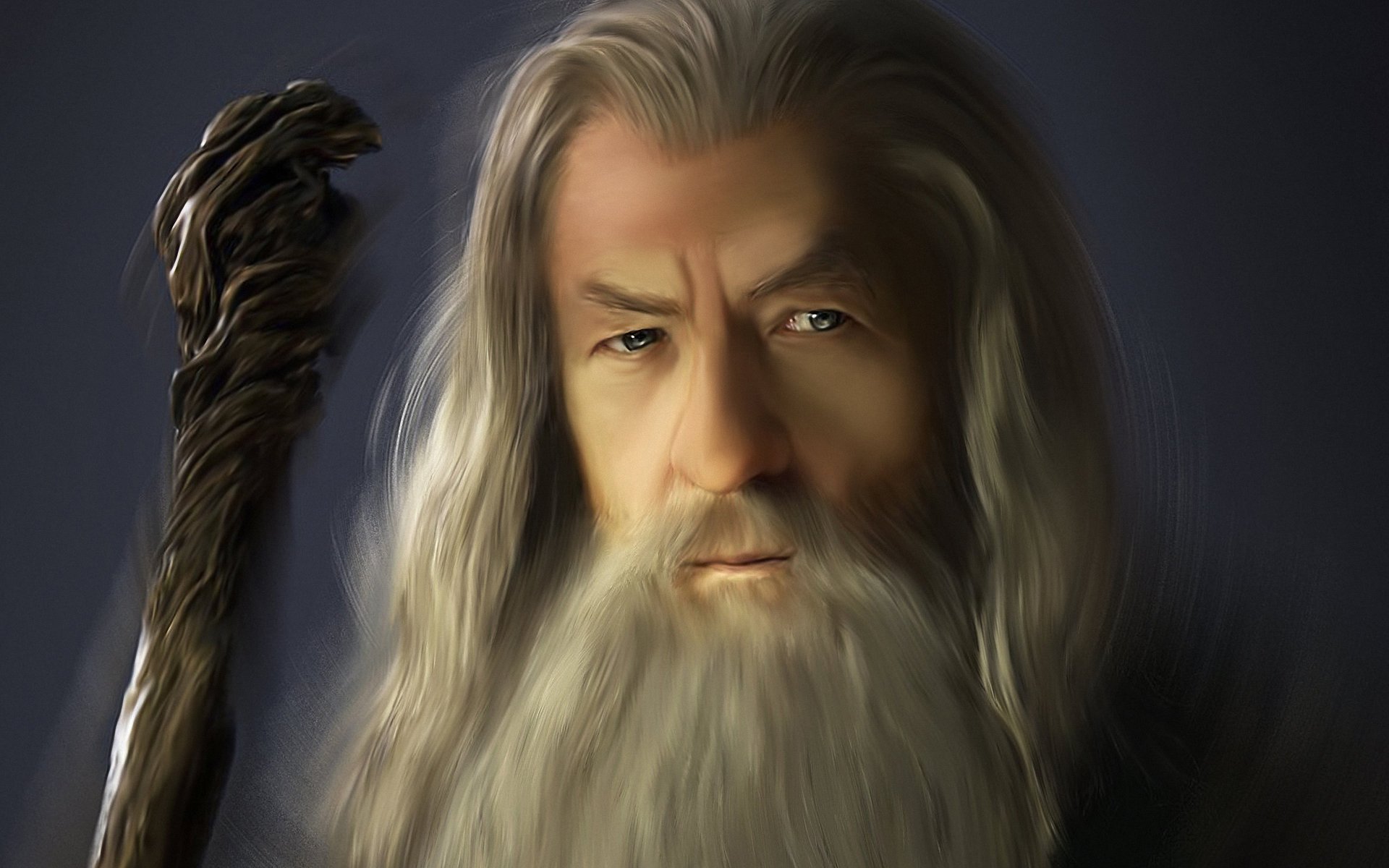 art gandalf gandalf seigneur des anneaux gris magicien bâton vieil homme barbe