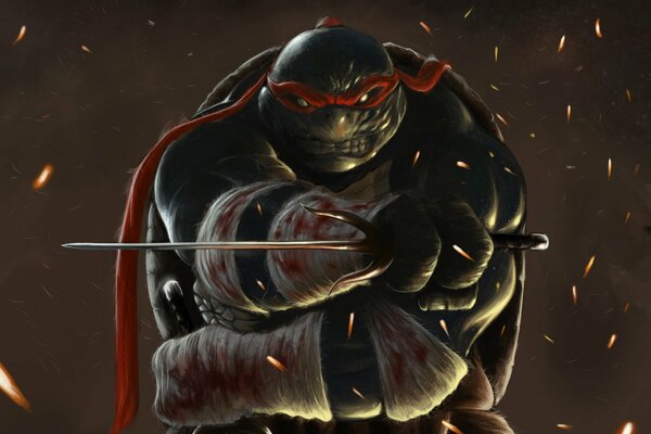 Raphael Art Ninja Turtles