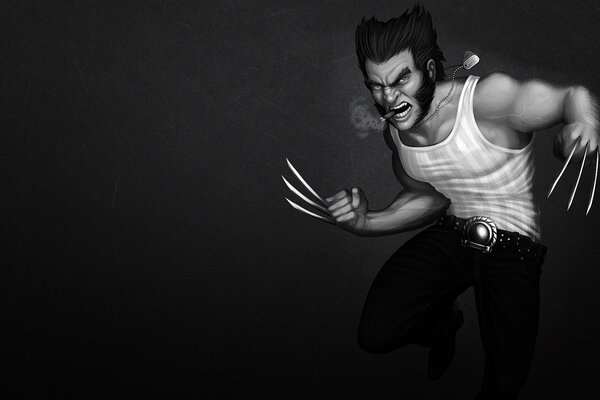 Angry wolverine with steel claws and a cigar on a black background