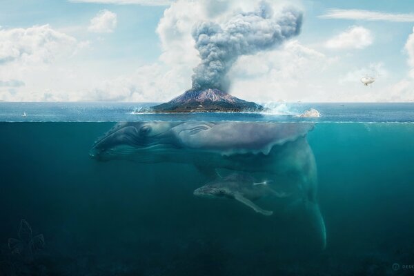 Maravillas de la naturaleza. Agua y tierra