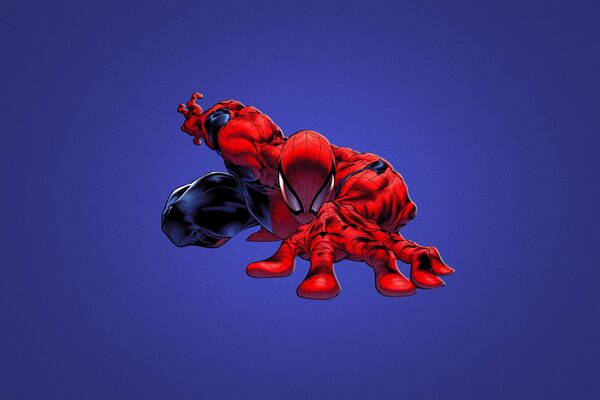 Spiderman ist rot in blau