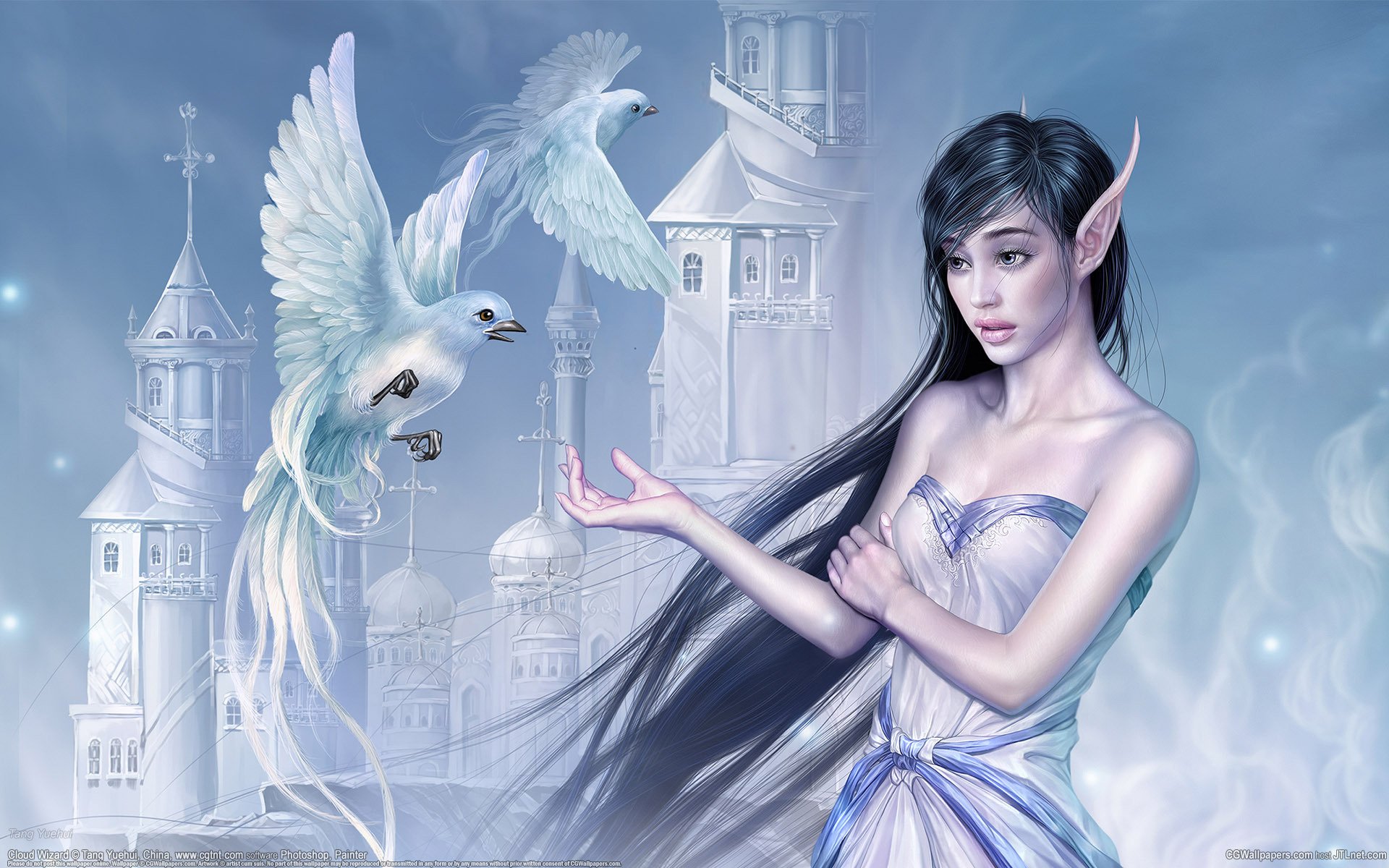 cg fond d écran tang yuehui chine maître nuage fantasy elfe fille oiseaux château beauté orientale nuage magicienne infographie fond d écran