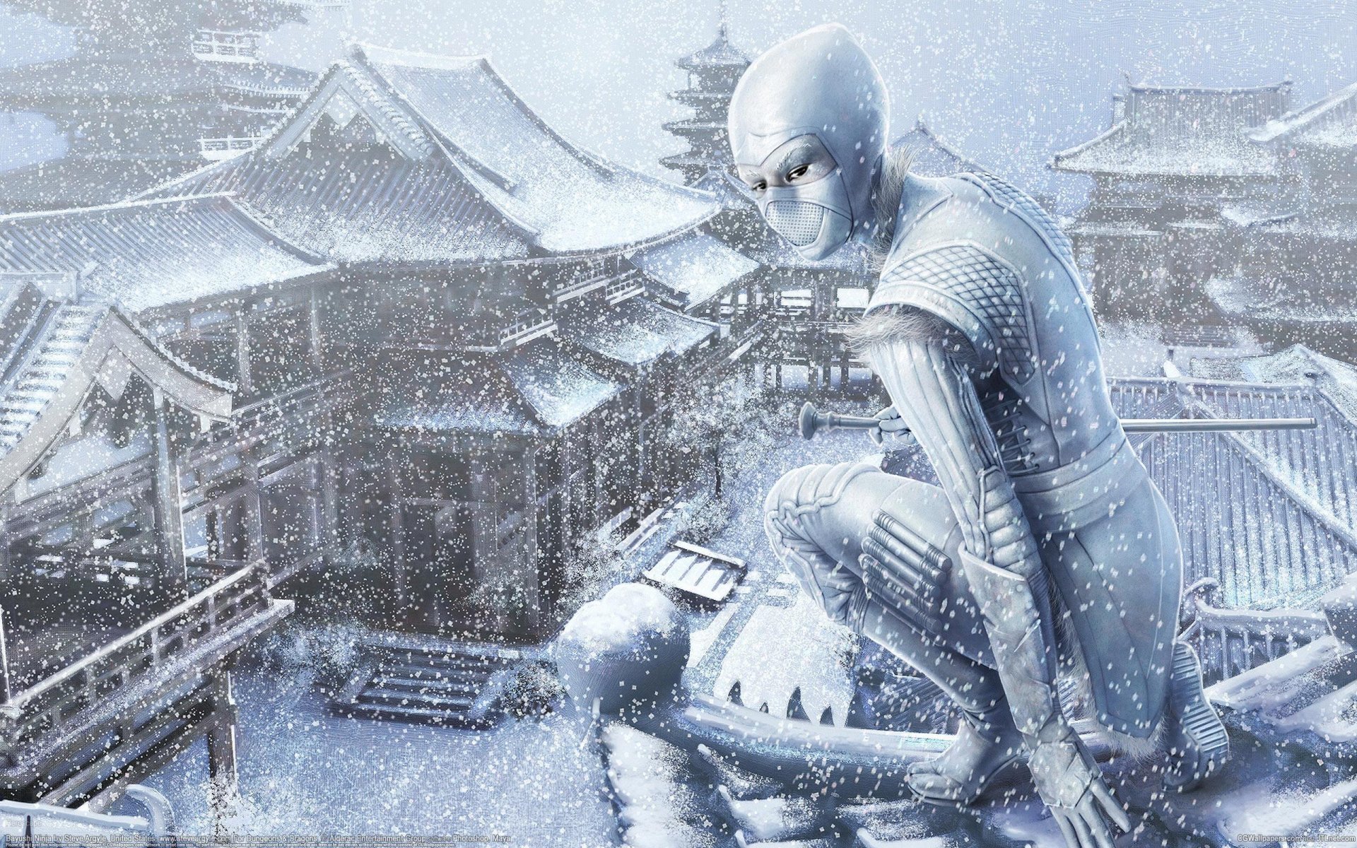 arte steve argyle ragazza ninja neve inverno asia tetto