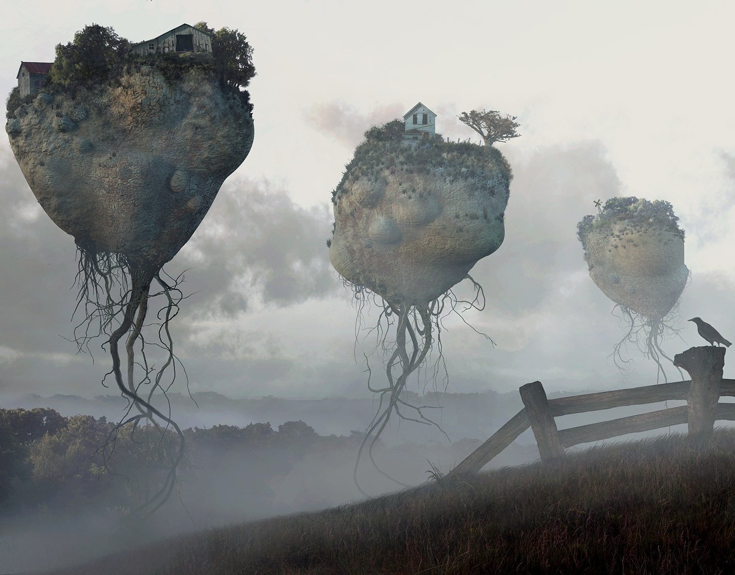 felsen häuser zaun vogel wurzeln nebel