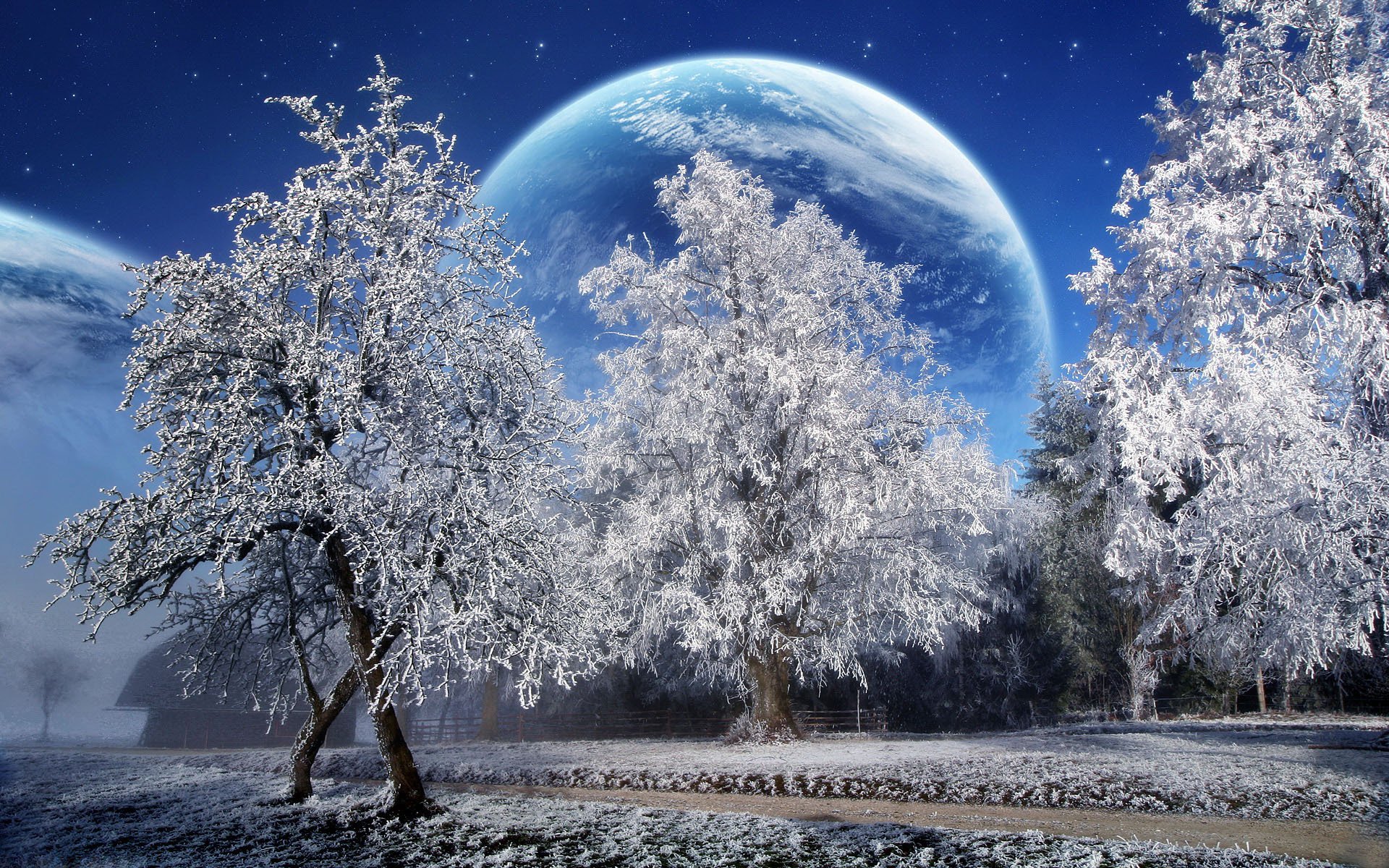 planet tree winter snow