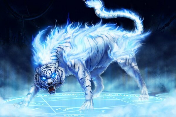 Angry tiger in blue fire