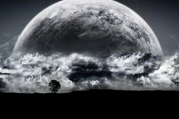 Black and white image of a tree on the background of a planet