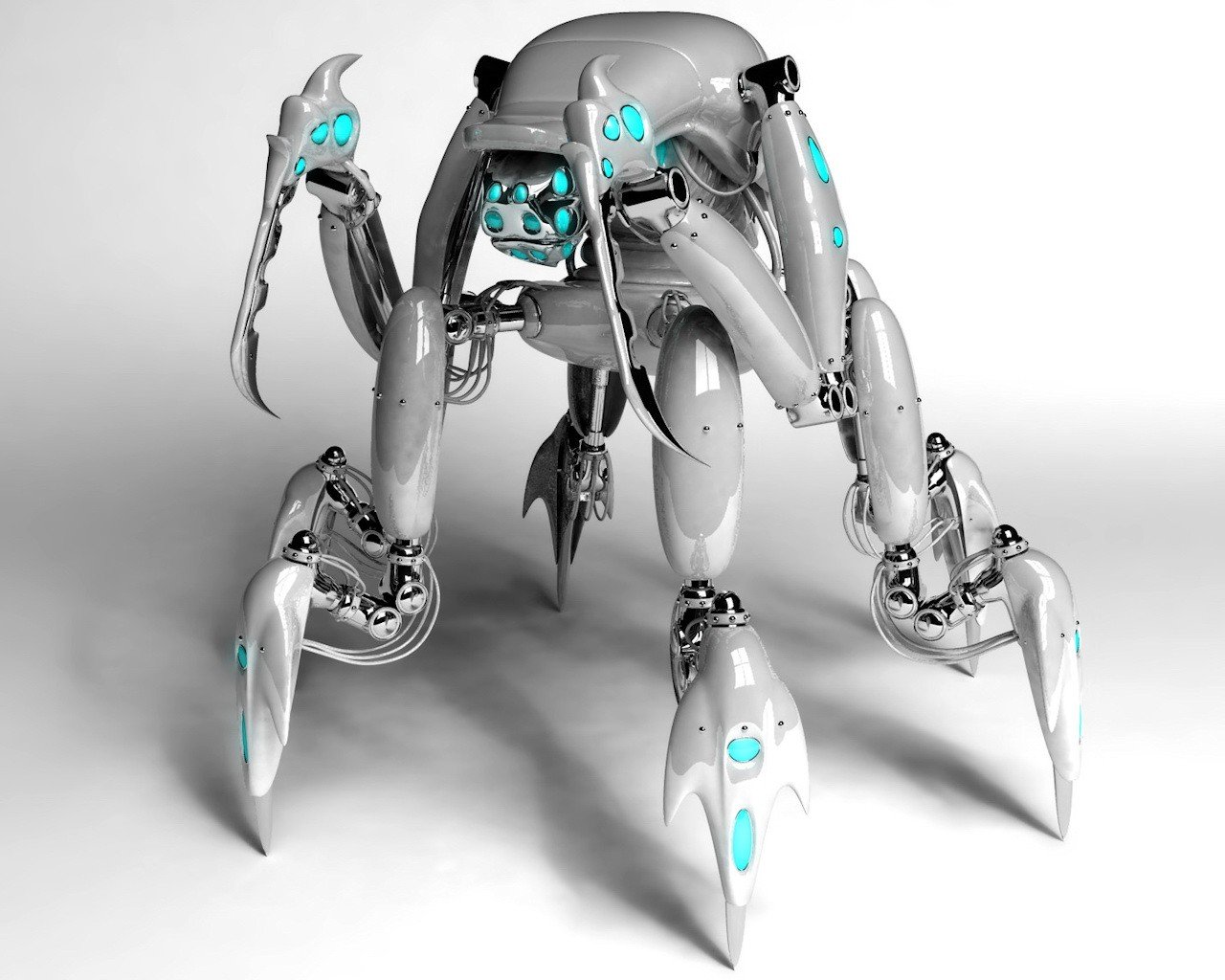 beetle rysunek 3d