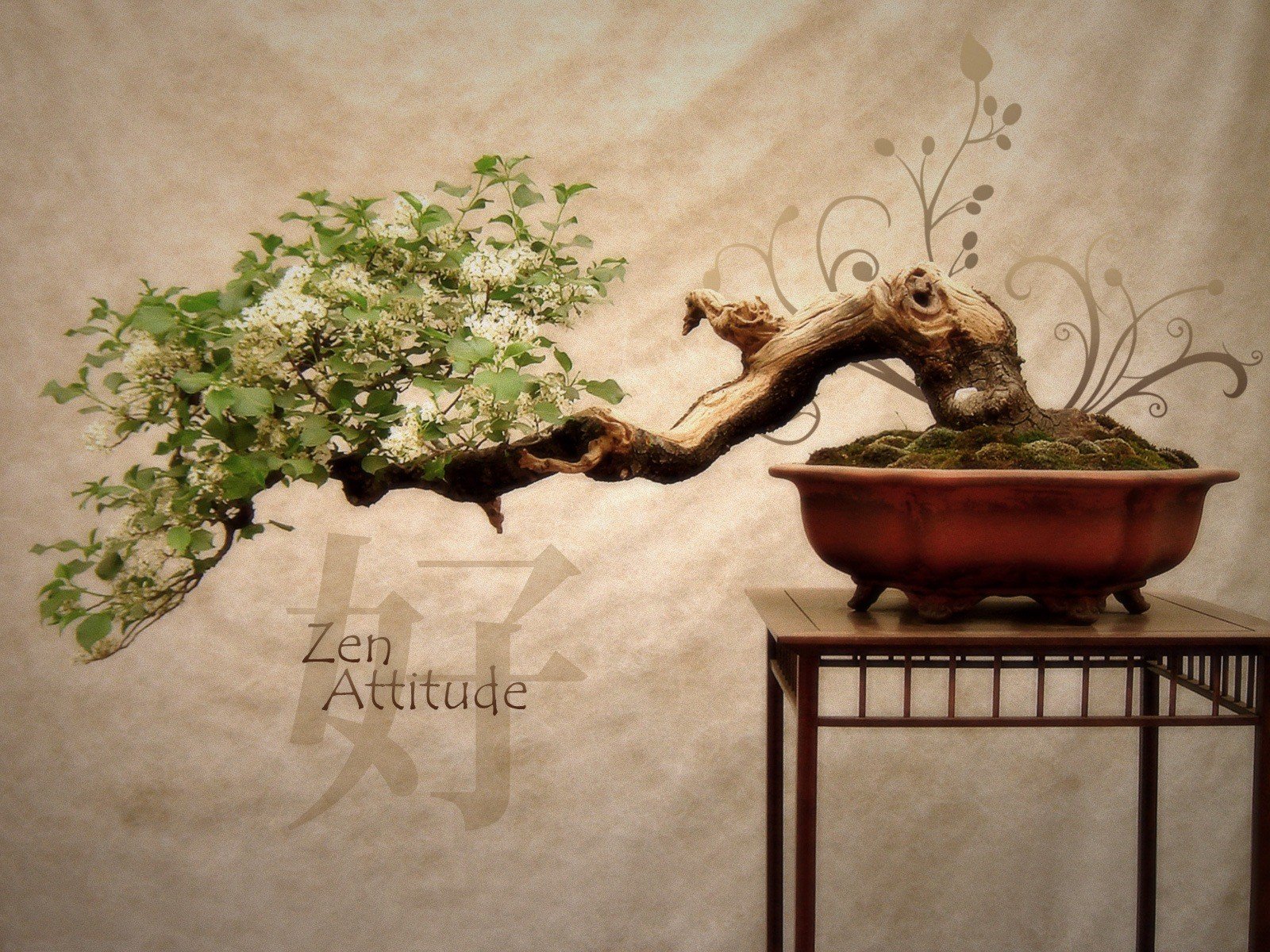 bonsai japan baum blumen