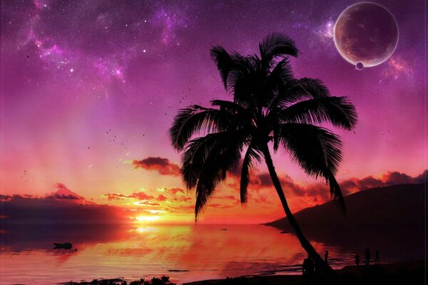 A palm tree at sunset and planets can be seen in the sky