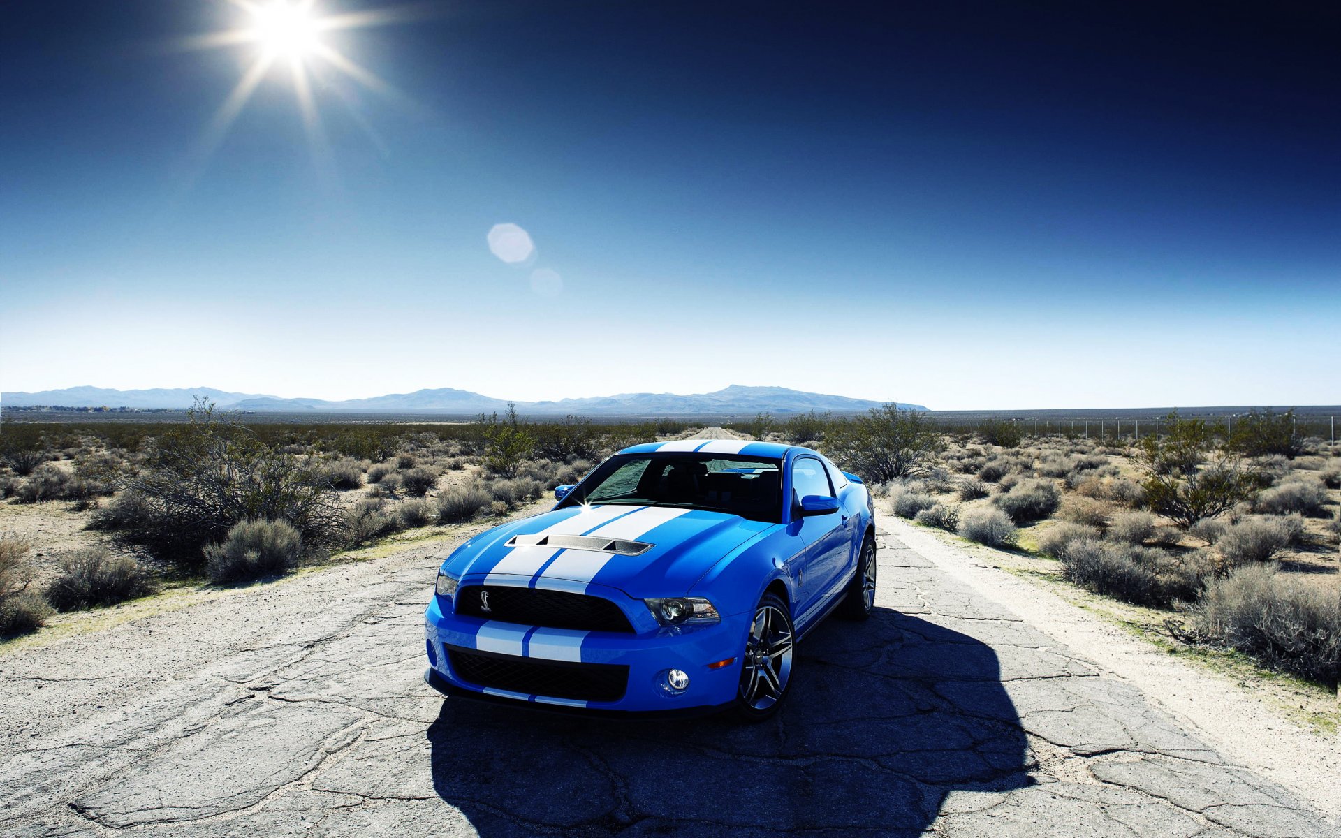 ford shelby gt 500 blau