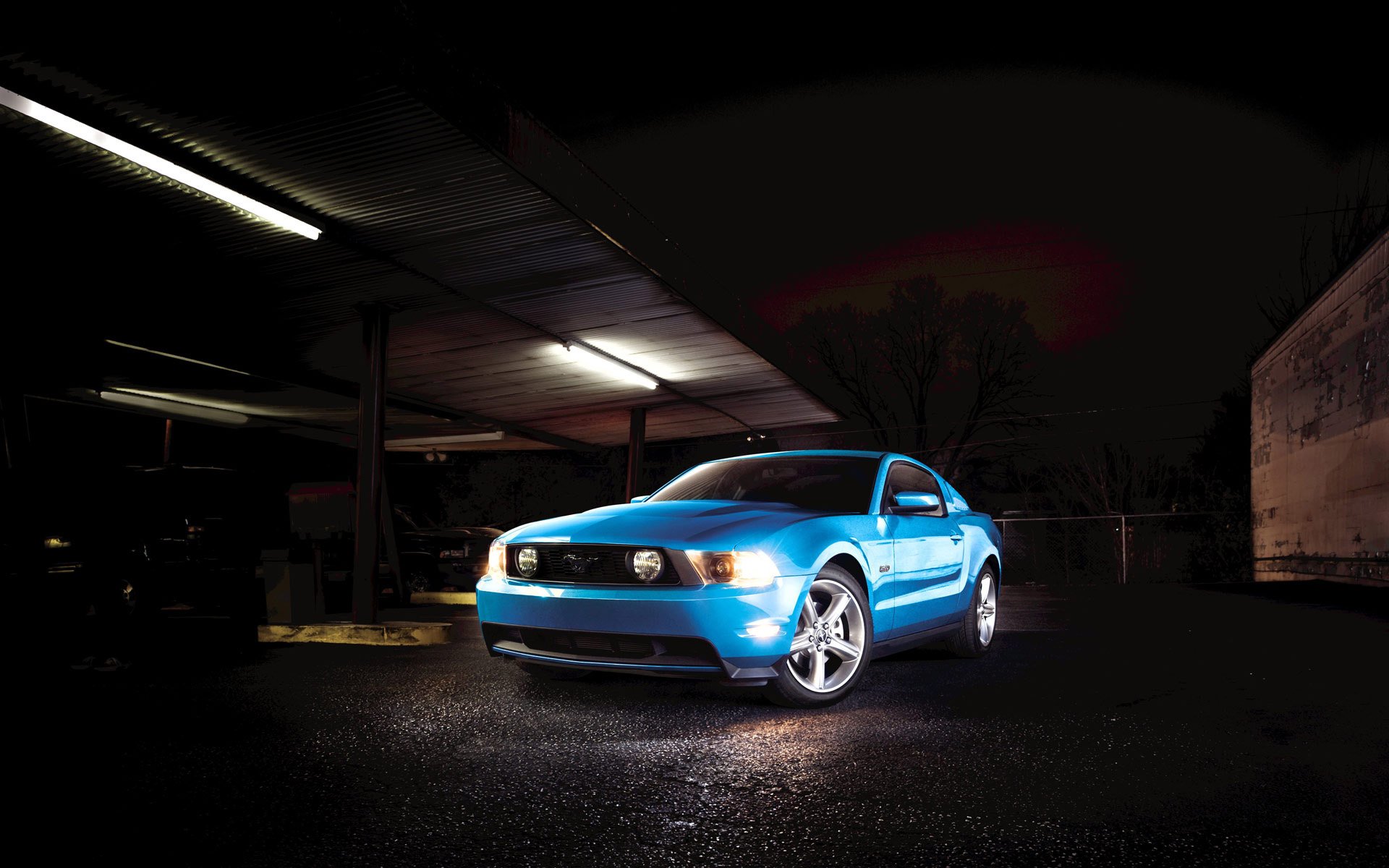 ford mustang muscle car garażowany