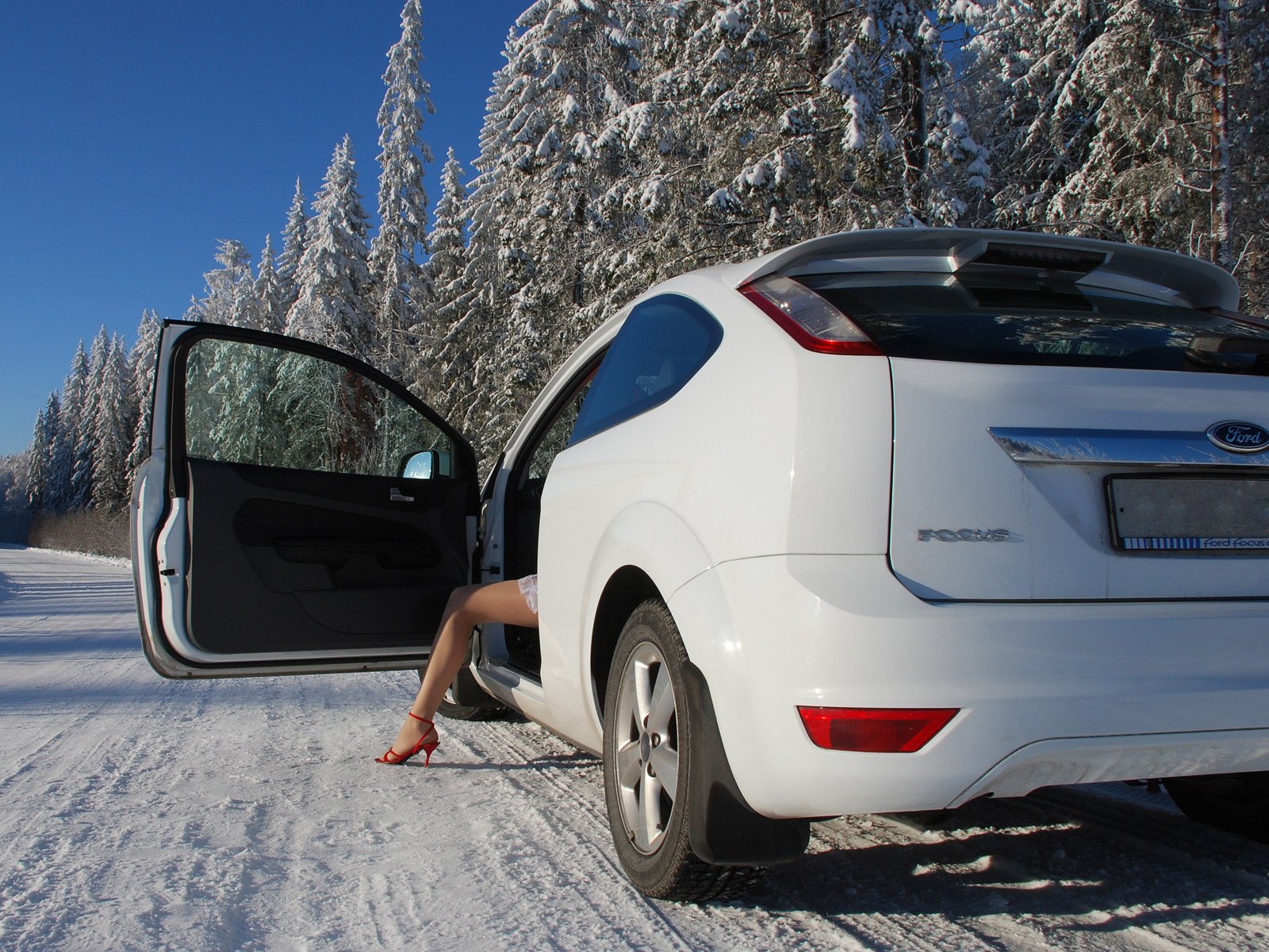 ford focus blanc hiver fille pied arbres