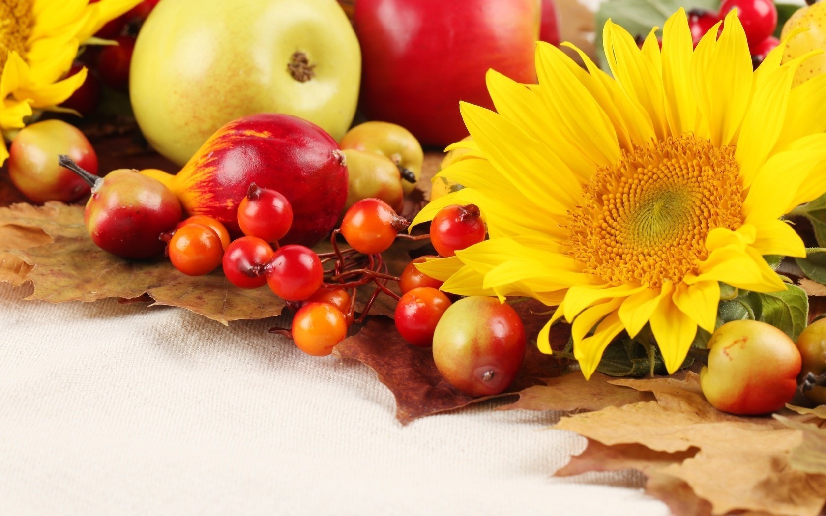 äpfel herbst sonnenblumen blätter