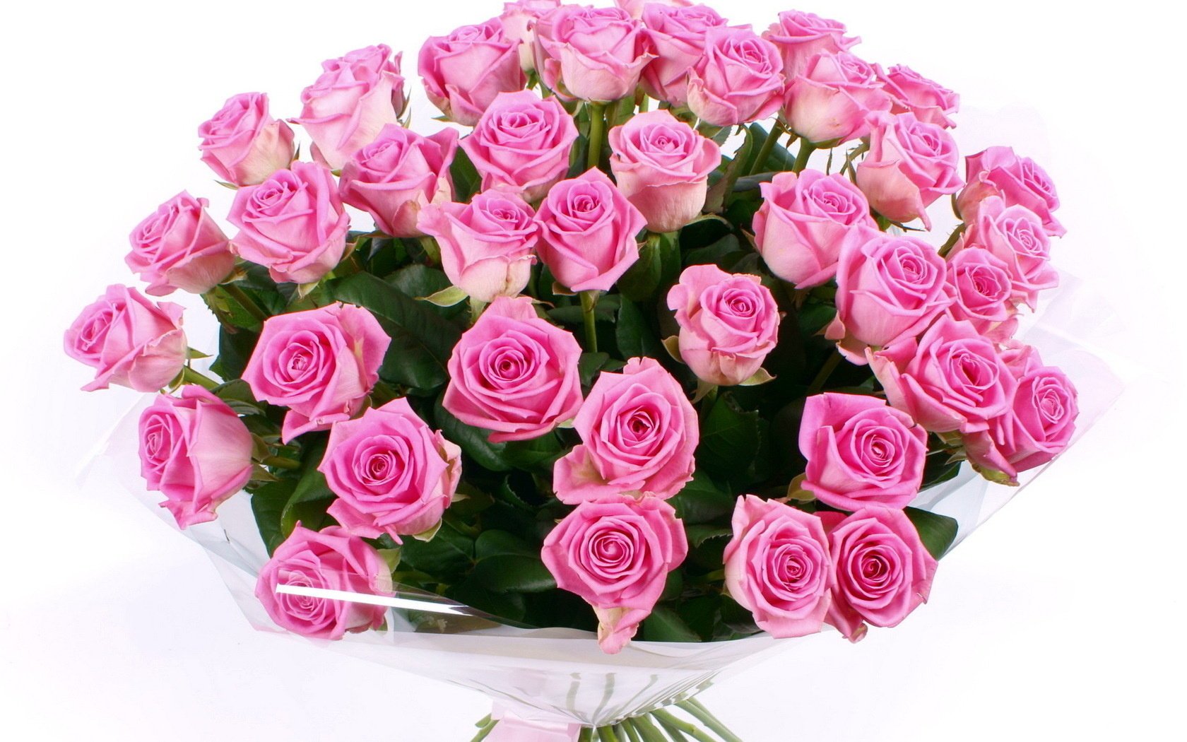 fleurs roses fleur roses bouquet