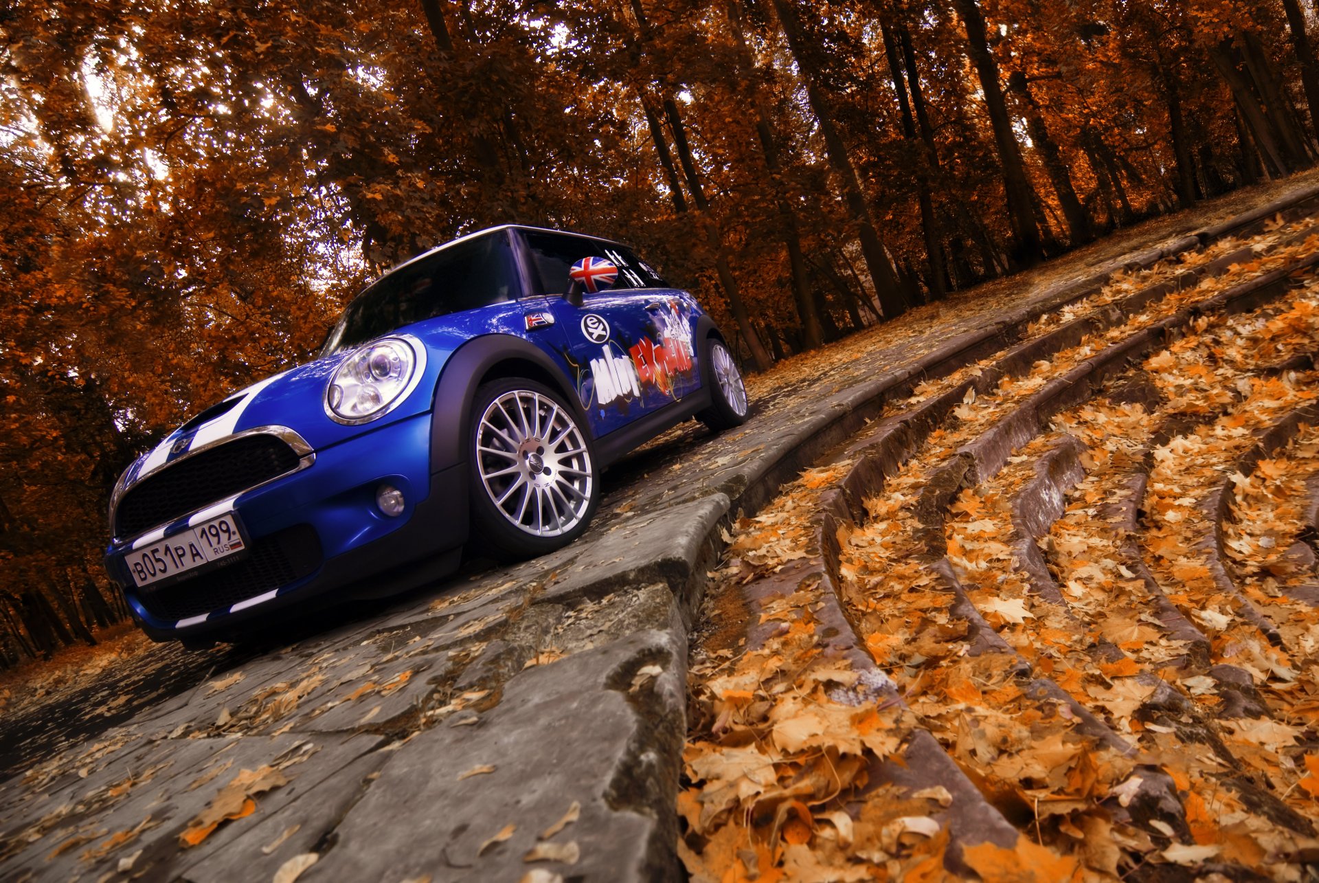 mini cooper échelle automne feuilles arbres