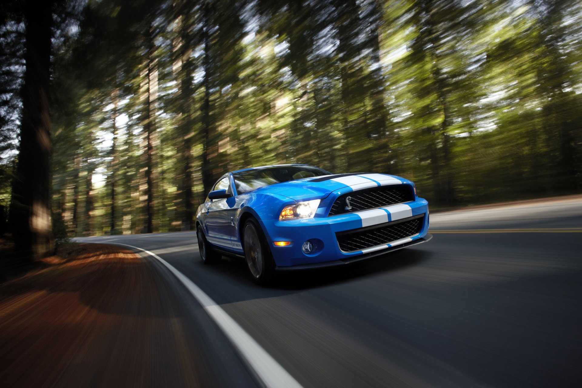 shelby gt500 velocidad muscle car