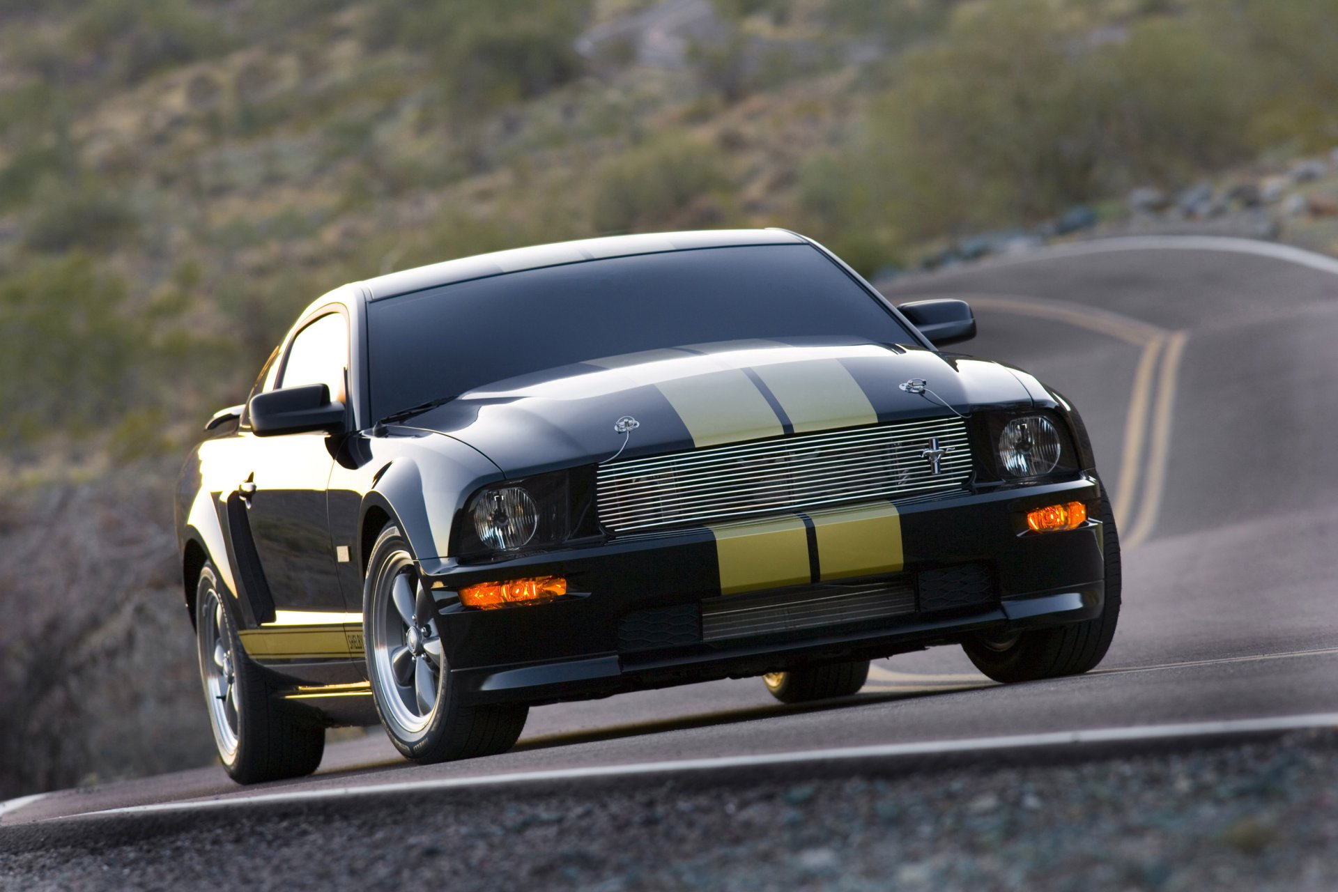 ford mustang shelby gt-h straße