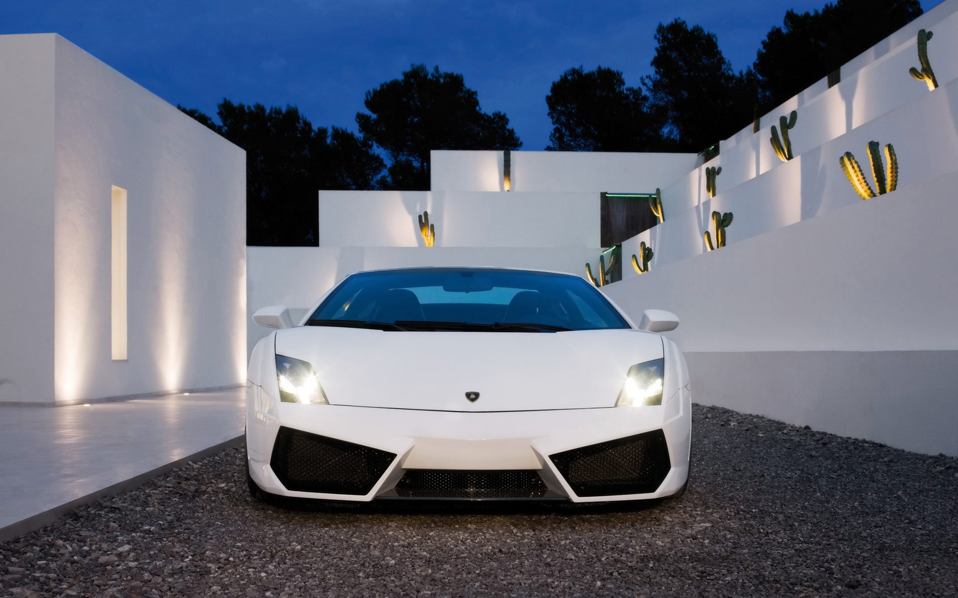 lamborghini white sportcar