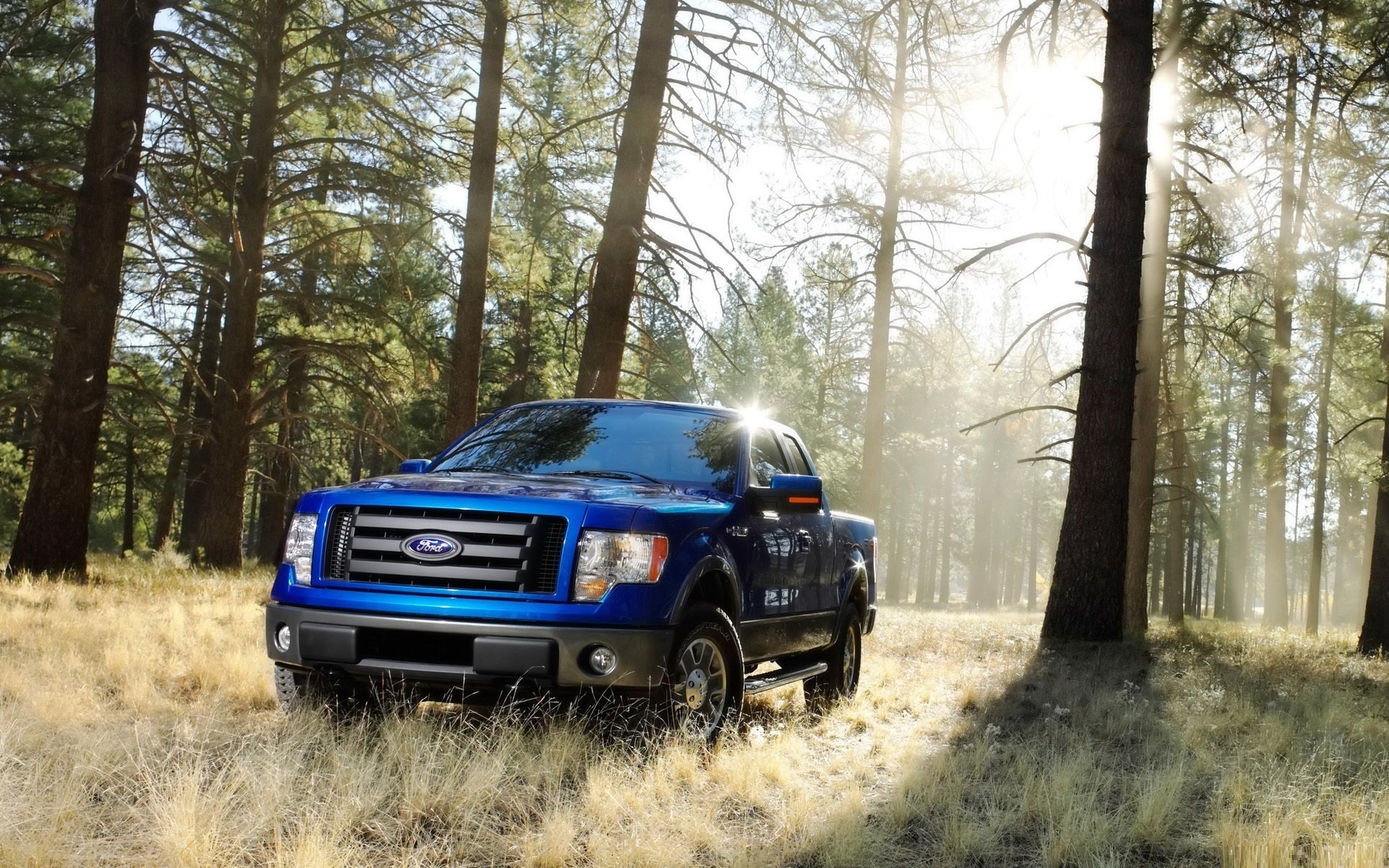 ford camioneta bosque sol