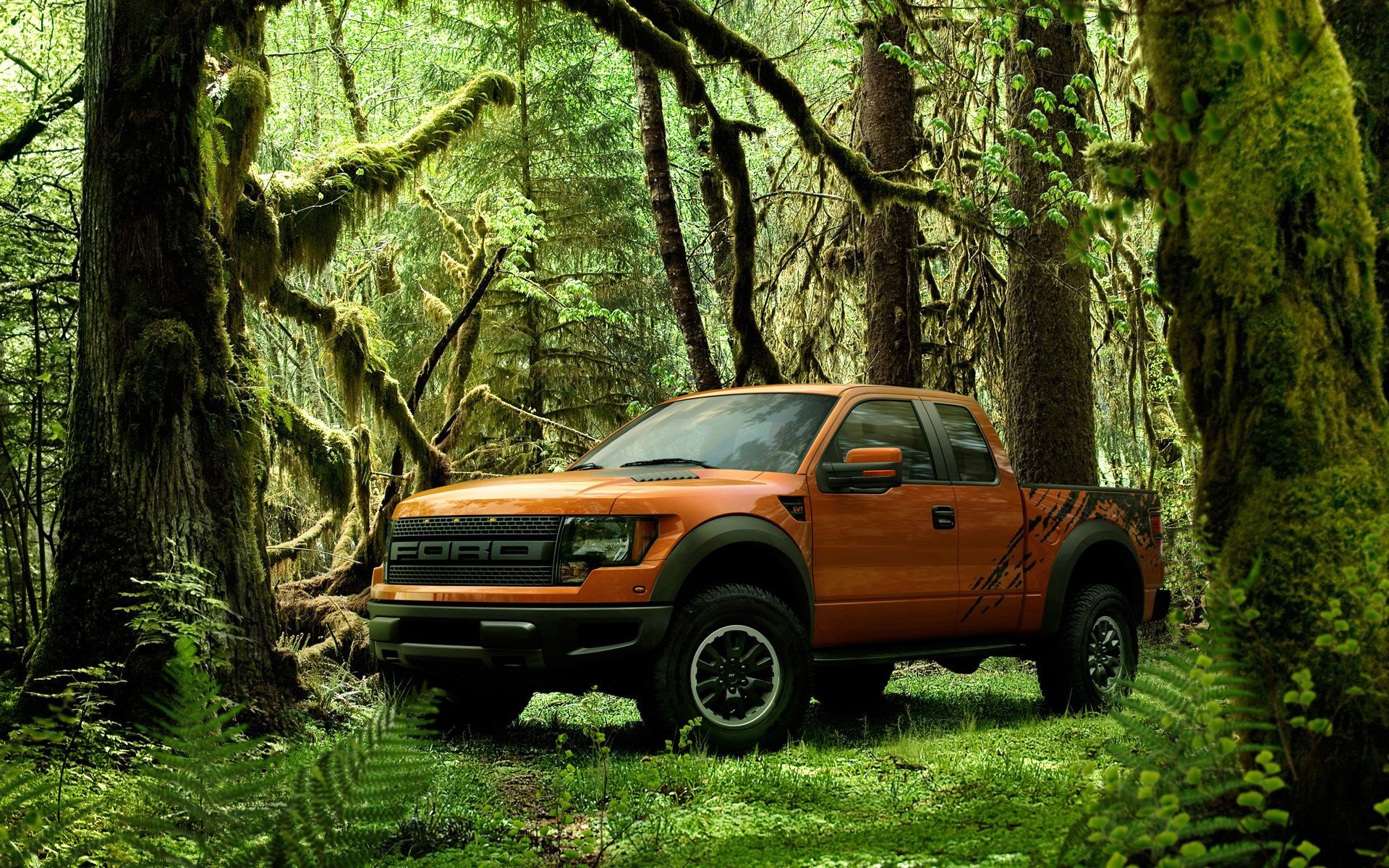 verde foresta pick-up