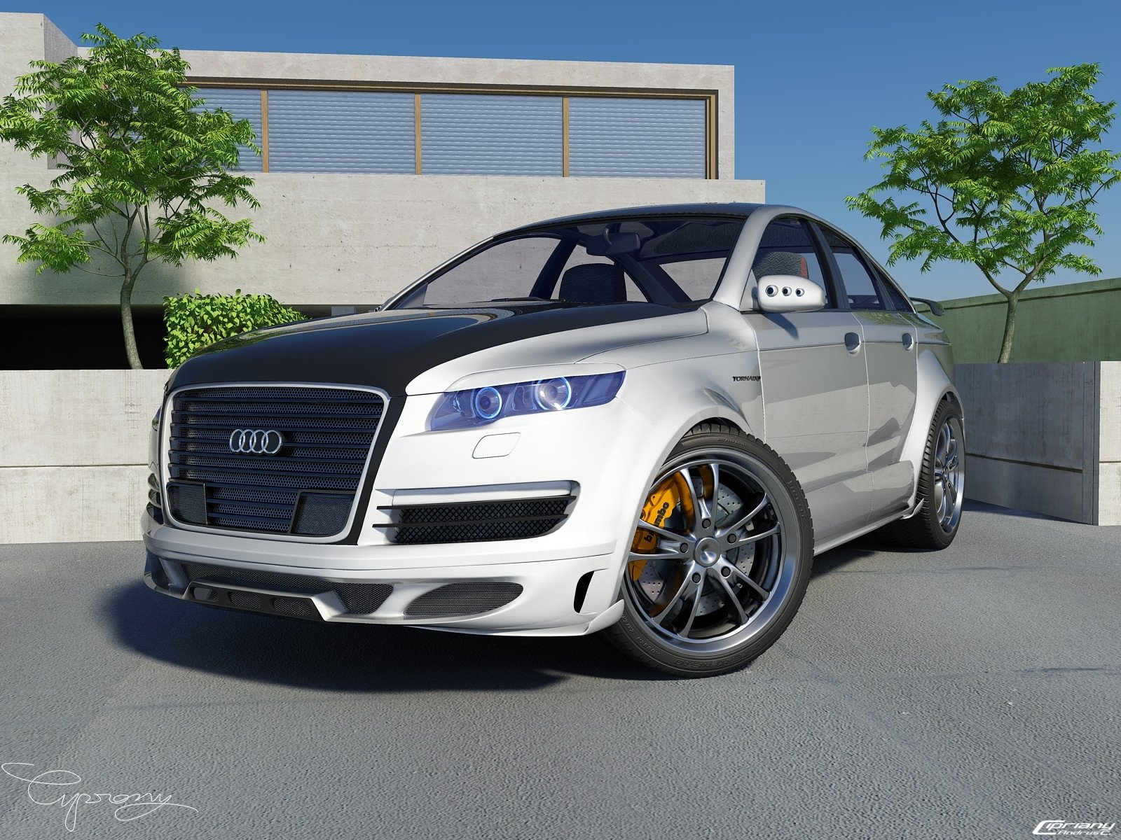 audi tuning grafica