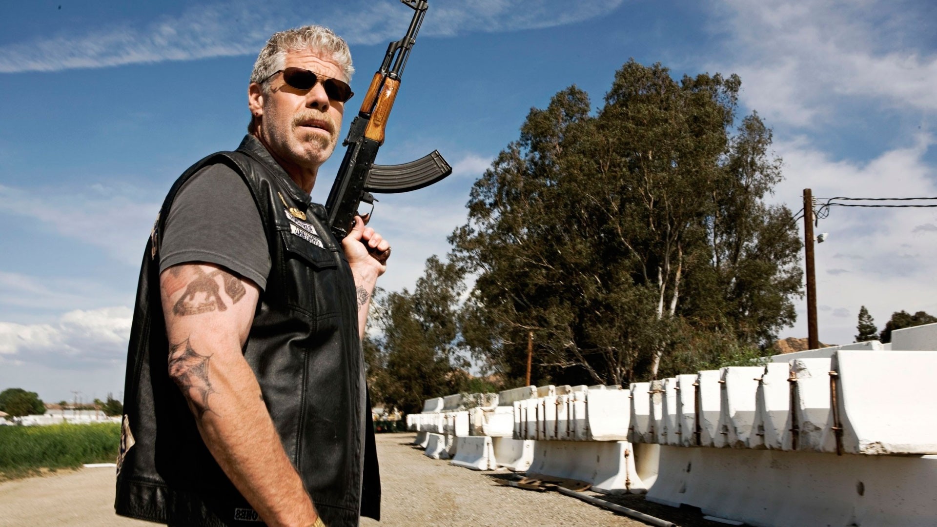 hellboy ron perlman söhne der anarchie schauspieler