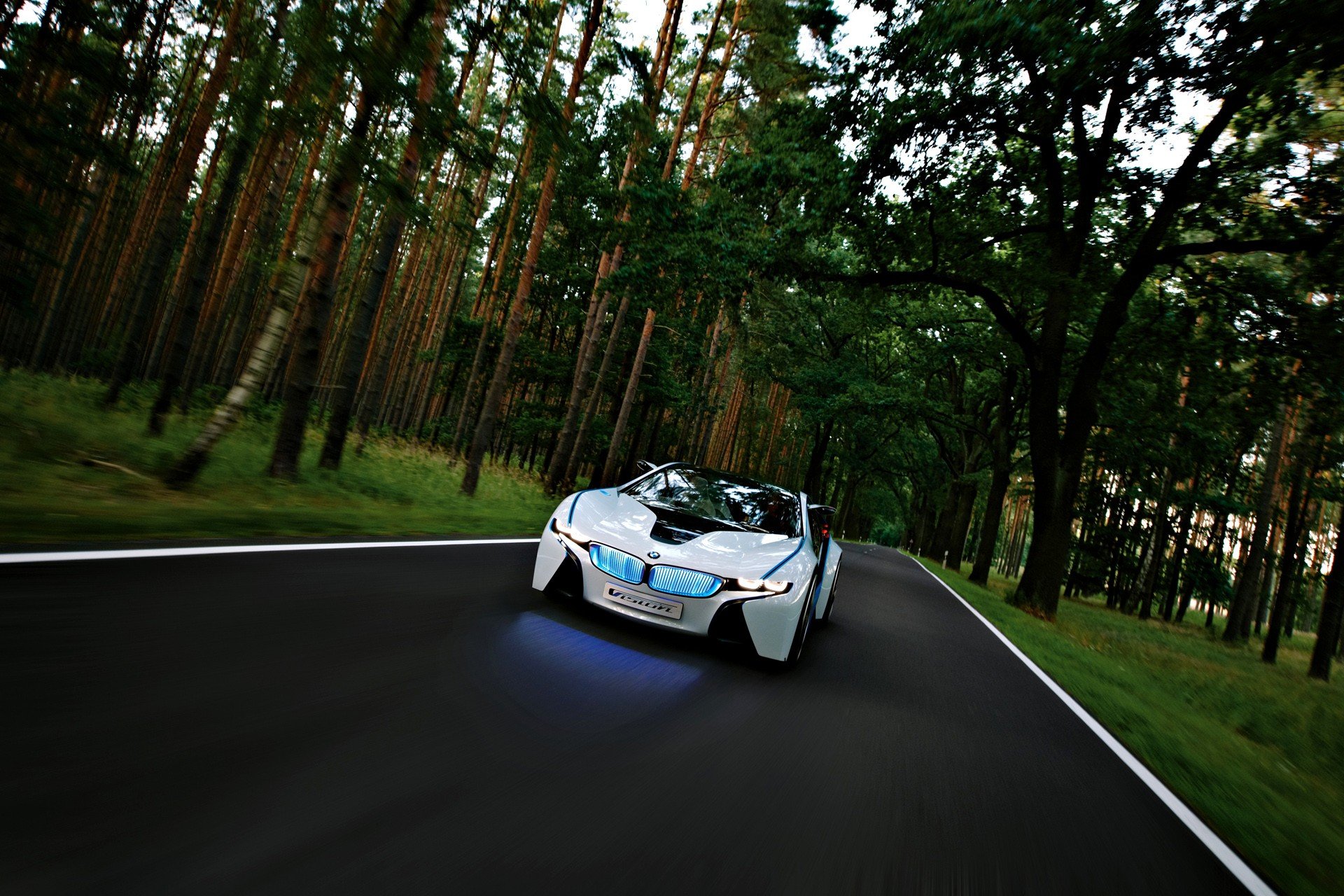 bmw vision concept forêt