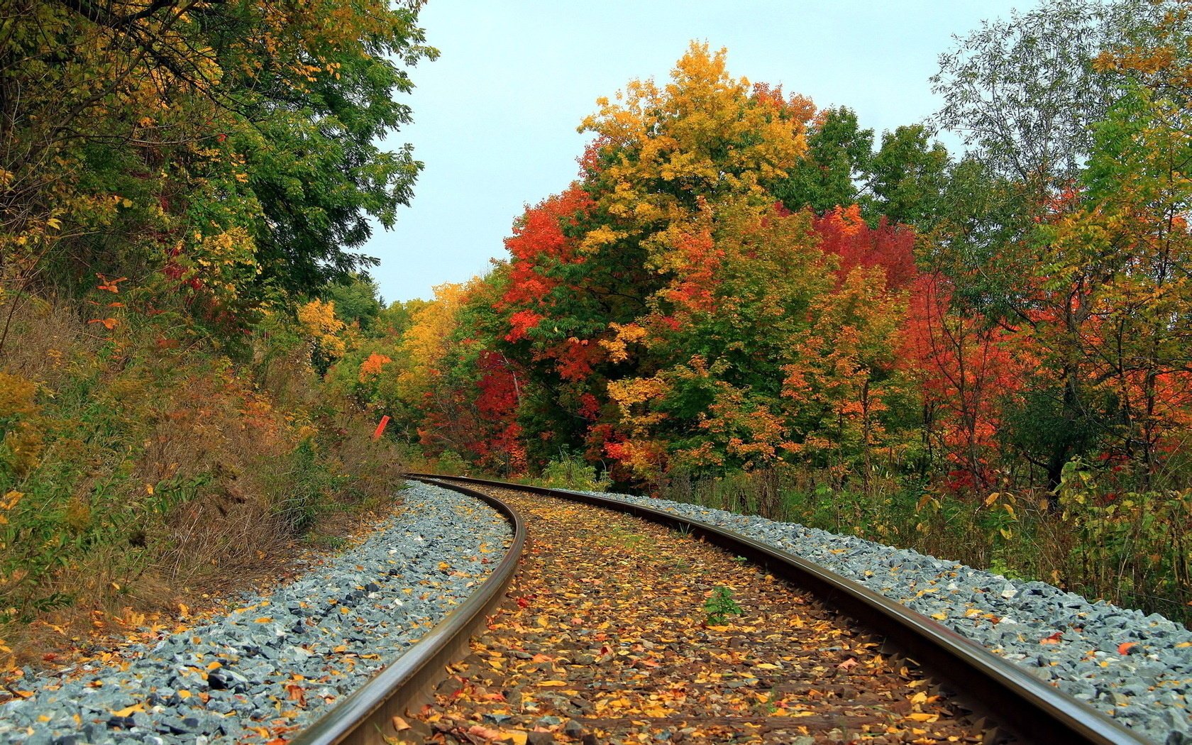 paisaje ferrocarril otoño