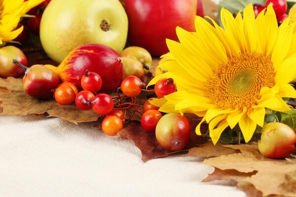 Natura morta autunnale di frutta e fiori